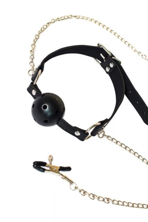 Ball Gag with nipple clamps Party Hard Gratitude Lola Games Ball Gag with nipple clamps Party Hard Gratitude Lola Games