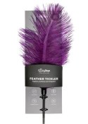 Pejcz-Purple Feather Tickler EasyToys Pejcz-Purple Feather Tickler EasyToys