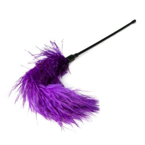 Pejcz-Purple Feather Tickler EasyToys Pejcz-Purple Feather Tickler EasyToys