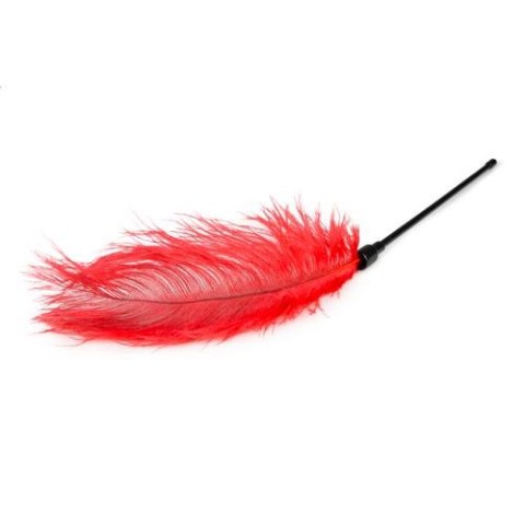 Pejcz-Red Feather Tickler EasyToys Pejcz-Red Feather Tickler EasyToys