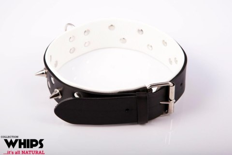 Wiązania - Obroża męska ze smyczą, biała Whips Collections Wiązania - Obroża męska ze smyczą, biała Whips Collections
