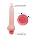 BAILE - FLEXI VIBE Sensual Spine Vibration Baile BAILE - FLEXI VIBE Sensual Spine Vibration Baile