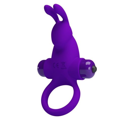 PRETTY LOVE - VIBRANT PENIS RING I Purple Pretty Love PRETTY LOVE - VIBRANT PENIS RING I Purple Pretty Love