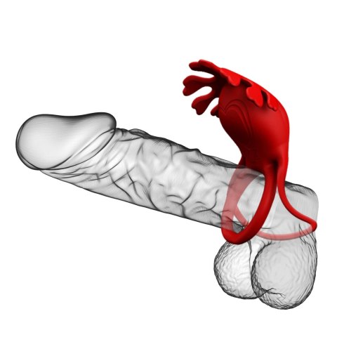 PRETTY LOVE - VIBRATION PENIS RING, Ruben, 7 vibration functions Pretty Love PRETTY LOVE - VIBRATION PENIS RING, Ruben, 7 vibration functions Pretty Love