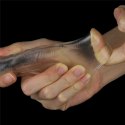 Flawless Clear Penis Sleeve Add 1'' Lovetoy Flawless Clear Penis Sleeve Add 1'' Lovetoy