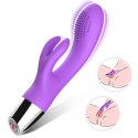 Rabbit purple B - Series Joy Rabbit purple B - Series Joy
