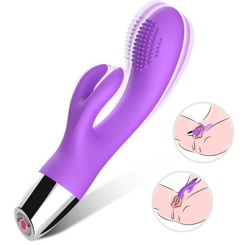 Rabbit purple B - Series Joy Rabbit purple B - Series Joy