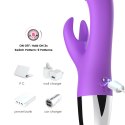 Rabbit purple B - Series Joy Rabbit purple B - Series Joy