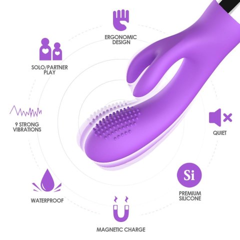 Rabbit purple B - Series Joy Rabbit purple B - Series Joy