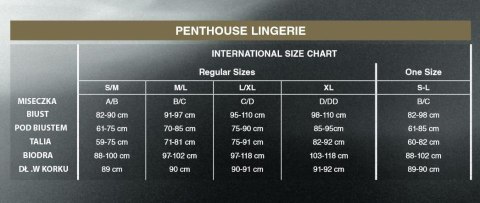 Bielizna-Earth-shaker black M/L PENTHOUSE Penthouse Bielizna-Earth-shaker black M/L PENTHOUSE Penthouse