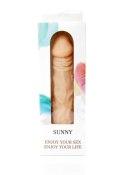Wibrator-SUNNY-12 function vibrator B - Series Weather Wibrator-SUNNY-12 function vibrator B - Series Weather