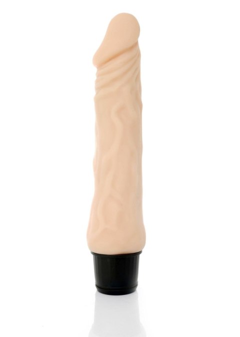 Wibrator-SUNNY-12 function vibrator B - Series Weather Wibrator-SUNNY-12 function vibrator B - Series Weather
