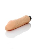 Wibrator-SUNNY-12 function vibrator B - Series Weather Wibrator-SUNNY-12 function vibrator B - Series Weather