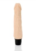 Wibrator-SUNNY-12 function vibrator B - Series Weather Wibrator-SUNNY-12 function vibrator B - Series Weather