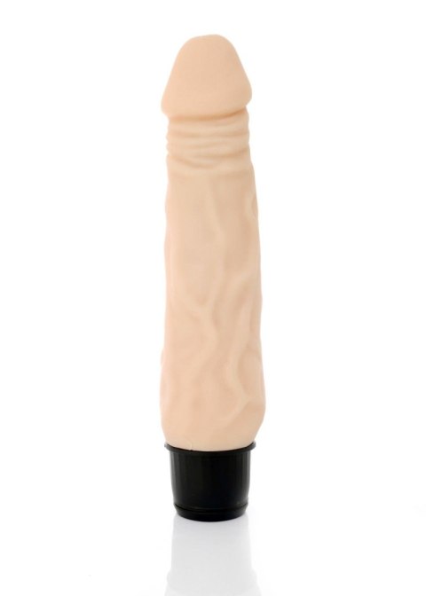 Wibrator-SUNNY-12 function vibrator B - Series Weather Wibrator-SUNNY-12 function vibrator B - Series Weather