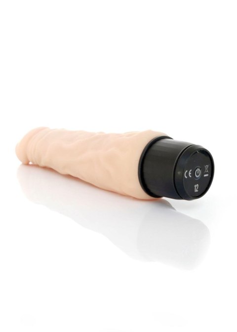Wibrator-SUNNY-12 function vibrator B - Series Weather Wibrator-SUNNY-12 function vibrator B - Series Weather