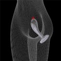 Flawless Clear Prostate Plug 6.0'' Lovetoy Flawless Clear Prostate Plug 6.0'' Lovetoy