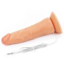 Vibrating Easy Strapon Set 7.5'' Lovetoy Vibrating Easy Strapon Set 7.5'' Lovetoy