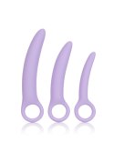 Alena Set of 3 Dilators Purple CalExotics Alena Set of 3 Dilators Purple CalExotics