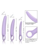 Alena Set of 3 Dilators Purple CalExotics Alena Set of 3 Dilators Purple CalExotics