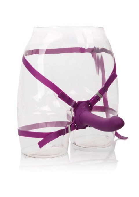 Me2 Rumbler Purple CalExotics Me2 Rumbler Purple CalExotics