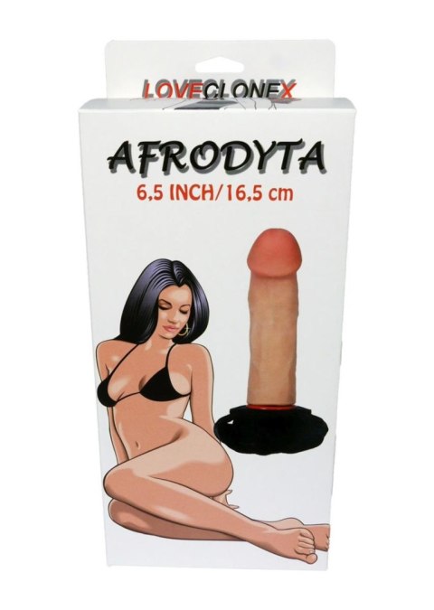 Proteza-AFRODYTA Strap On-LOVECLONEX 6,5"""""""" B - Series Real Proteza-AFRODYTA Strap On-LOVECLONEX 6,5"""""""" B - Series Real