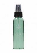 Cannabis Massage Oil - 100ml Pharmquests Cannabis Massage Oil - 100ml Pharmquests