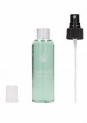 Cannabis Massage Oil - 100ml Pharmquests Cannabis Massage Oil - 100ml Pharmquests