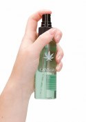Cannabis Massage Oil - 100ml Pharmquests Cannabis Massage Oil - 100ml Pharmquests
