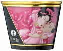 Massage Candle Roses Shunga Massage Candle Roses Shunga