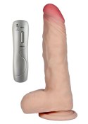 Wibrator-ACHILLES-LOVECLONEX 7,5""""""""-vibration B - Series Real Wibrator-ACHILLES-LOVECLONEX 7,5""""""""-vibration B - Series Real