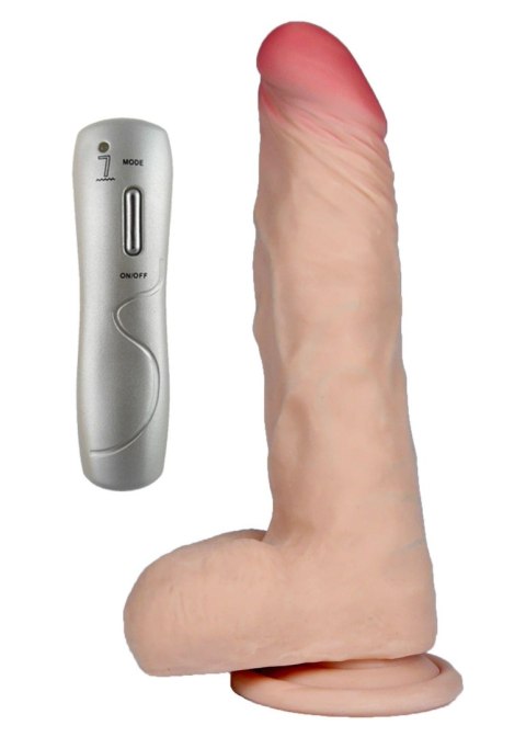 Wibrator-ACHILLES-LOVECLONEX 7,5""""""""-vibration B - Series Real Wibrator-ACHILLES-LOVECLONEX 7,5""""""""-vibration B - Series Real