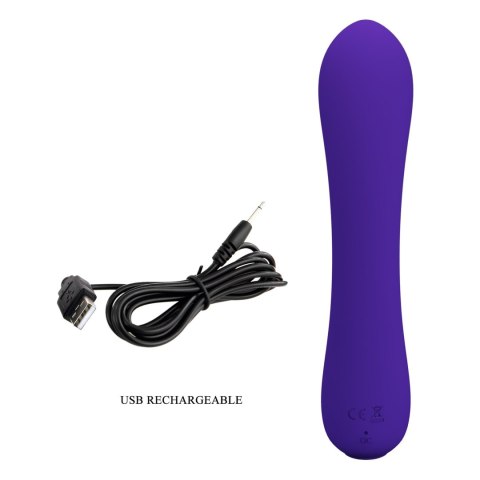 PRETTY LOVE - PRESCOTT Purple 12 vibration functions Memory function Pretty Love PRETTY LOVE - PRESCOTT Purple 12 vibration functions Memory function Pretty Love
