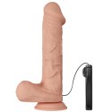 BAILE-Beautiful Bergrisi Vibration 10.2"""" Baile BAILE-Beautiful Bergrisi Vibration 10.2"""" Baile