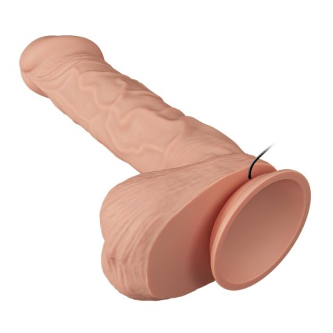 BAILE-Beautiful Bergrisi Vibration 10.2"""" Baile BAILE-Beautiful Bergrisi Vibration 10.2"""" Baile