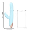 Pulse Wave and Up-and-Down Moving Ring Vibrator Loveline