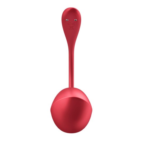 Shiny Petal red Connect App Satisfyer Shiny Petal red Connect App Satisfyer