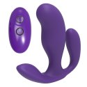 Wish purple B - Series Joy