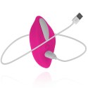 Mini Vibrator With Remote Control Teazers Mini Vibrator With Remote Control Teazers