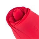 Rose Vibrator and Clitoris Stimulator Teazers