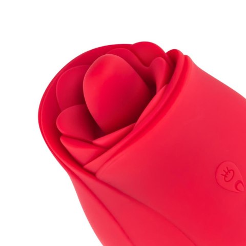 Rose Vibrator and Clitoris Stimulator Teazers Rose Vibrator and Clitoris Stimulator Teazers