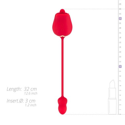 Rose Vibrator and Clitoris Stimulator Teazers Rose Vibrator and Clitoris Stimulator Teazers