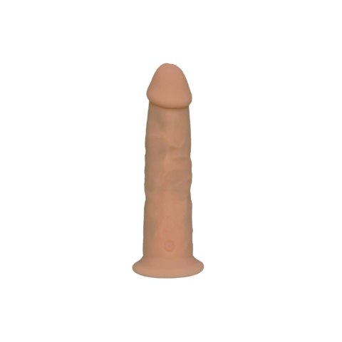 Model 2 7"" Vibration + LRS Silexd Model 2 7"" Vibration + LRS Silexd
