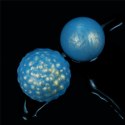 Ocean's Toner Egg Set Lovetoy Ocean's Toner Egg Set Lovetoy