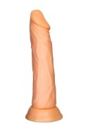A-TOYS Realistic dildo Toon, TPE, nude, 17,5 cm A-Toys A-TOYS Realistic dildo Toon, TPE, nude, 17,5 cm A-Toys