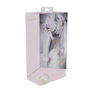 Paris Collection - Hogtie Connectors - Pink SHOTS