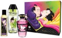 Fruity Kisses Shunga - EAU ZONE Fruity Kisses Shunga - EAU ZONE