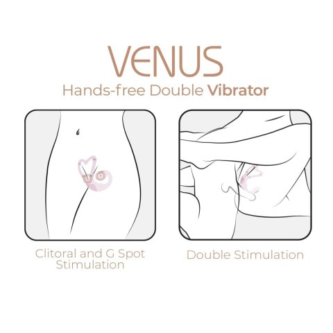 AD. Venus + APP CNEX A.I.E.,S.L. AD. Venus + APP CNEX A.I.E.,S.L.