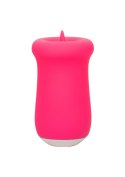 Sugar Craze Pink Sugar Craze Pink