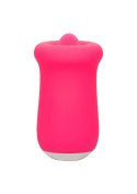 Sugar Craze Pink Sugar Craze Pink